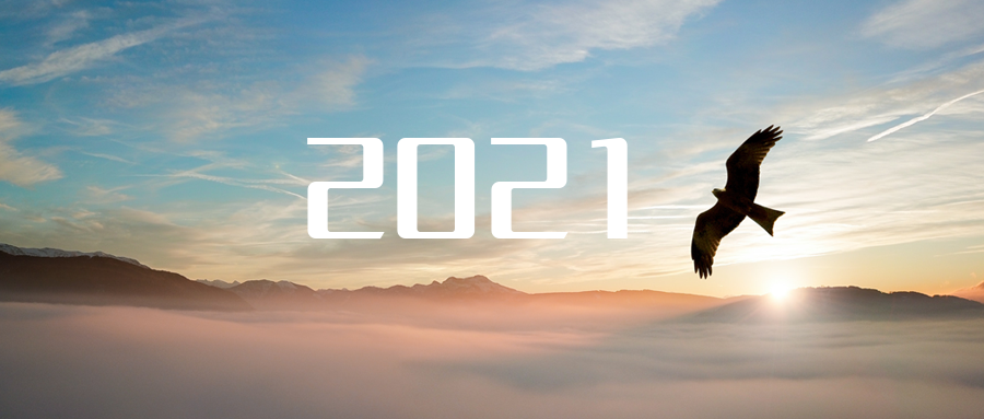 乘“峰”而上，智“盈”未來(lái) ——2021年盈峰環(huán)境高級(jí)資深副總裁新年開(kāi)工動(dòng)員